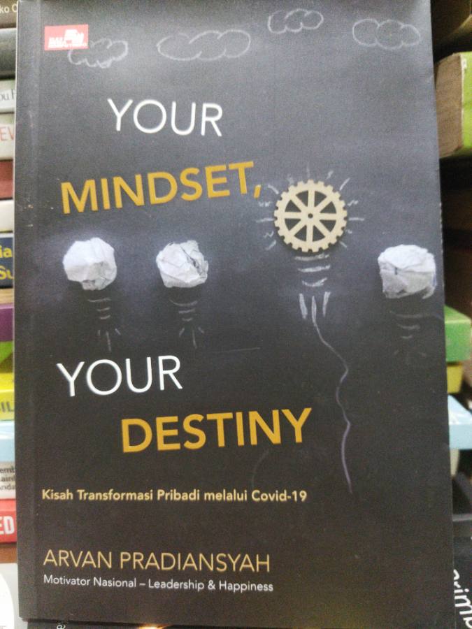 Your Mindset Your Destiny